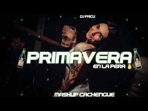 PRIMAVERA EN LA PERA 🍐- MASHUP CACHENGUE (LO MÁS NUEVO 2022) ESPECIAL DÍA DEL ESTUDIANTE - DJ FACU