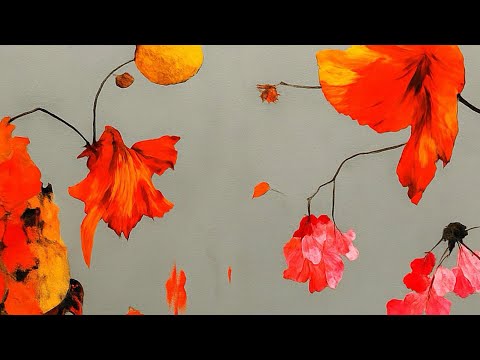 BUTTERFLY DOORS - Isam 