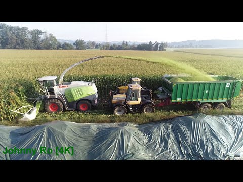 Maishäckseln 2023 Teil 1, LU Karl Krumm mit Claas Jaguar 950, Fendt 724, Fendt 820, JCB [4K]
