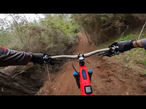 Solito Line + Antena / Los Perros - Reñaca