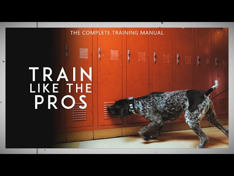 Top 10 Tools for K9 Scent Work