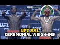 UFC 281 Final Faceoffs | MMA Fighting