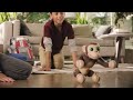 Spin Master PAW PATROL Pliušinis šuniukas-patrulis CHASE, 22cm