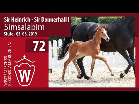 72 Simsalabim Stute v. Sir Heinrich - Sir Donnerhall