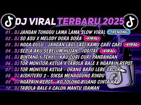 DJ TIKTOK TERBARU 2025🎵DJ JANGAN TUNGGU LAMA LAMA🎵DJ SO ASU X MELODY DORA DORA || FULL ALBUM 