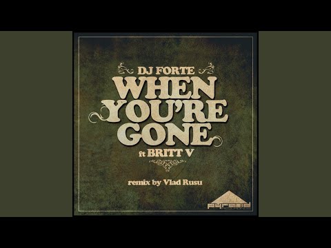 When You're Gone (Vlad Rusu Remix)