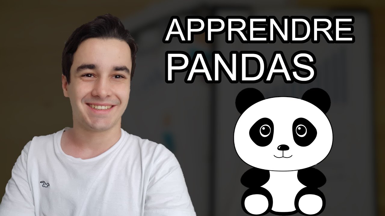 [Tuto Français] : Comment Analyser des Données d’Excel (avec Python et Pandas)