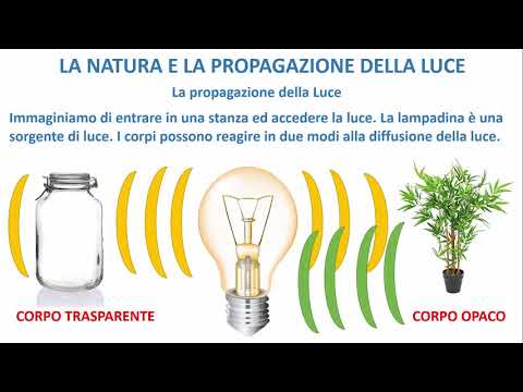 LA FISICA FACILE - La doppia natura della Luce