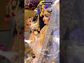 Apni Thakurani Sree Radhika Rani Trending Reels Song Radharani Jaishreerm