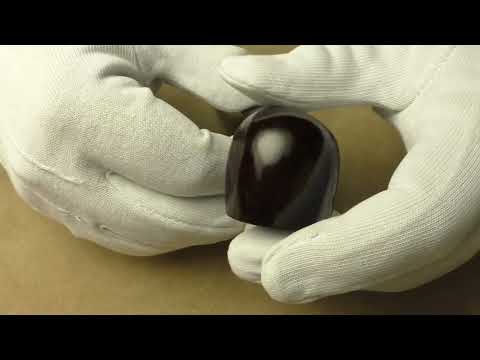 Dunhill Chestnut 3406 - pipe F730