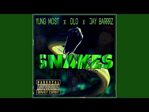 Snakes in the Grass (feat. Dlo & JayBarrrz)