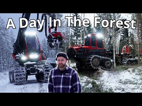 A day as a forest machine operator 2 | Sweden