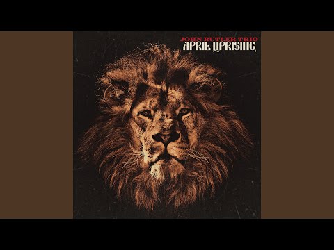 Steal It - The John Butler Trio