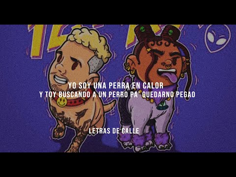 J BALVIN x TOKISCHA - PERRA (Letra/Lyrics)