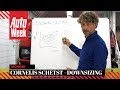 Downsizing - Cornelis schetst