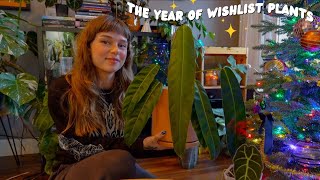 all the plants I crossed off my wishlist in 2024 ✅🌿 & did they live up to the hype?