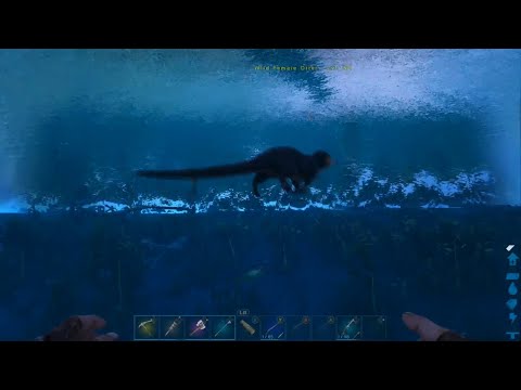 Taming a High Level Otter, Ichthyornis and Kairuku - Ark Survival Evolved, Xbox One [E40]
