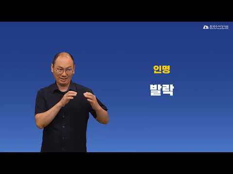 발락 수어