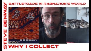 Battletoads In Ragnarok's World / Why I Collect