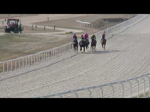 2022.03.27. 04. futam -  HÁROMÉVESEK VERSENYE (IV.kat.) (szintetikus pálya)