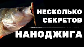 Тиорати где и на что ловить санфиша зеленого