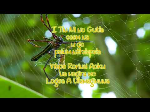 Rorinai Lyrics-Metere Crew