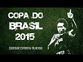 Copa Do Brasil 2015 Melhores Momentos Do Palmeiras Do 1º Jogo Até A Grande Final