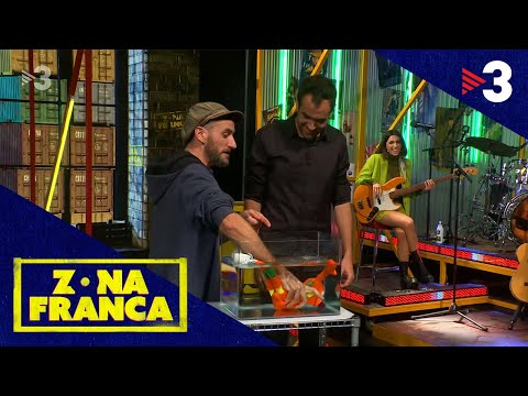 Quin animal és el MIC? En Godai té la resposta - Zona Franca