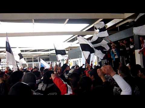 "GARRA BLANCA NXEVO TEMA  VERSION LA MOSCA" Barra: Garra Blanca &bull; Club: Colo-Colo