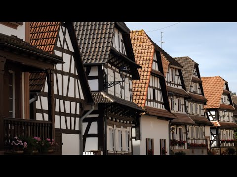 Voyages Vert Vous - L'Alsace Verte, reconnexion avec son patrimoine vivant
