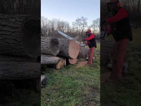 Stihl MS881 First Cut! #Stihl, #millinglumber, #ms881, #chainsaws