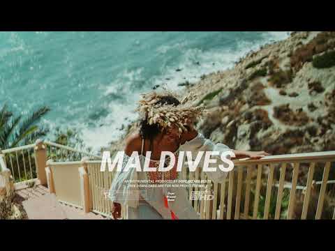 B Young x WSTRN x Wizkid Type Beat - "Maldives" | UK Afroswing/Dancehall Instrumental 2023