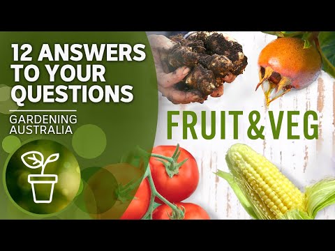 Tips for growing fruit and vegetables | Your questions, our answers | Gardening Australia