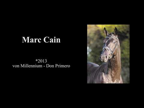 Marc Cain (DVD 2019)