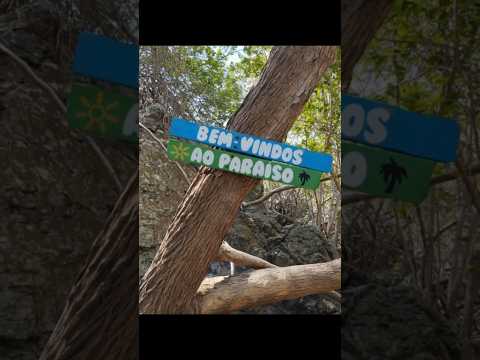 cachoeira das palmeiras Granja Ceará #turismo #agua #viajar