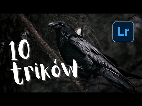 10 TRIKÓW w LIGHTROOM które musisz znać!