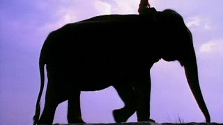 Enigma - Eyes of Truth(1993) on the VST Instruments