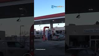 Siap-siap! Minggu Depan Pemerintah akan Bahas Kriteria Mobil dan Motor yang Boleh Beli Pertalite