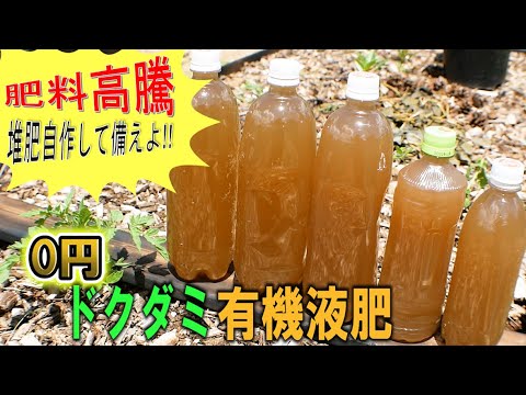 イラクサ肥料の作り方：無害な天然肥料から恩恵を受けるレシピは何ですか？  庭園