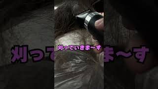 まーさんです　髪切りました