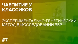 Экспериментально-генетический метод в действии или о том, как мы исследовали ЗБР