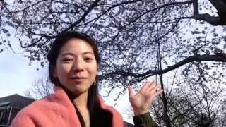 聖夏のニューヨークレポート【2014年4月19日】