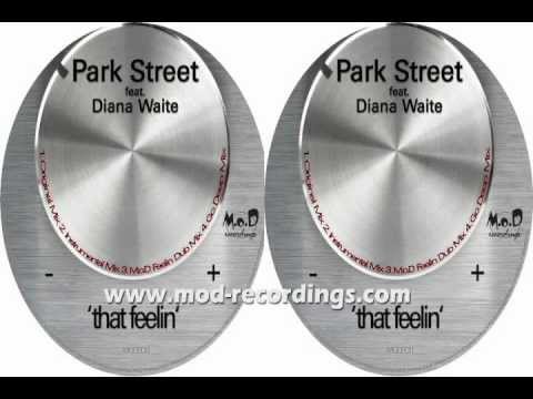 Park Street Feat. Diana Waite - That Feelin (Mod Feelin Dub Mix)