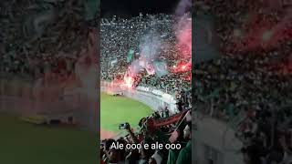 Download lagu yel yel fans maroko untuk palestina mp3 Download lagu yel yel fans maroko untuk palestina mp3