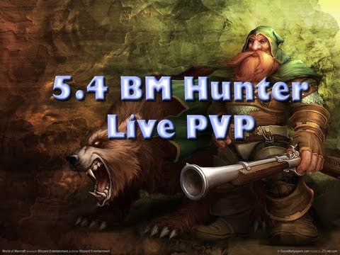 5.4 BM Hunter - Live BG Fun.