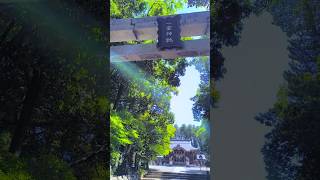 一宮神社　神々の光　〜京都府福知山〜
