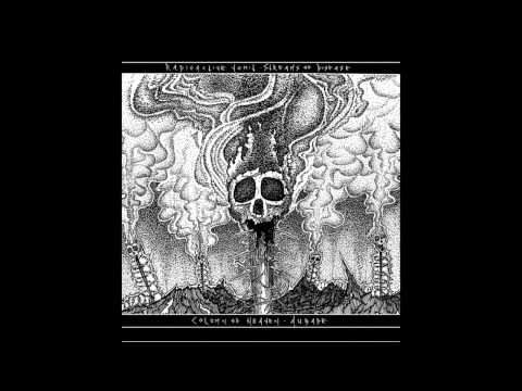 Column of Heaven / Radioactive Vomit Split FULL ALBUM (2013)