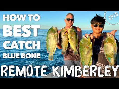 Ep29 Tips and Tricks for Catching Blue Bone | Catch and Cook Mudcrabs | Fish and Crab pasta