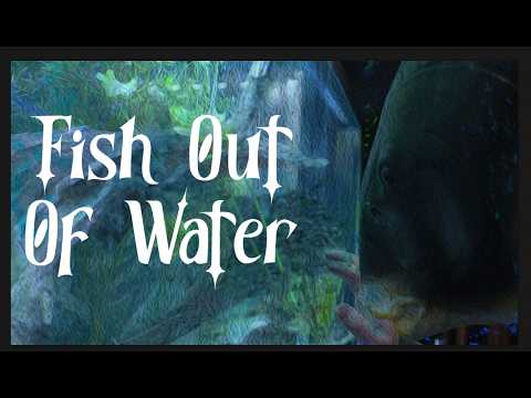Fish Out Of Water