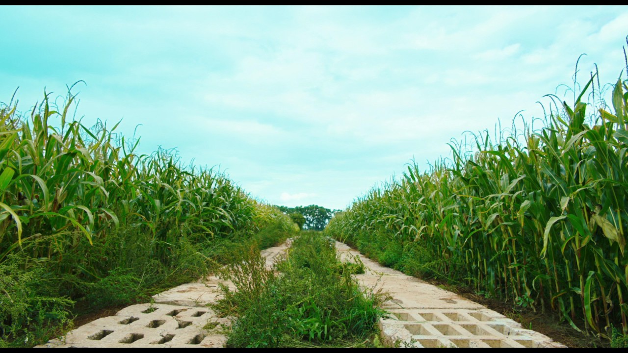 Goodbye Berlin Trailer Thumbnail